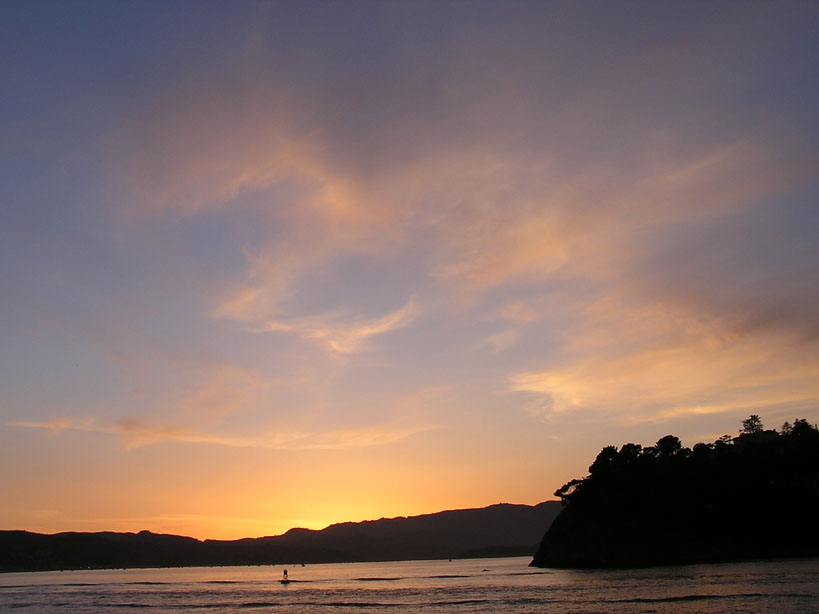 Angel Island silhouette
