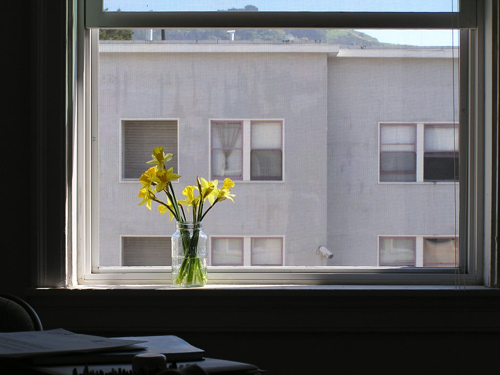 Daffodils like a painting2