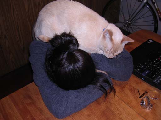 2005 March - NappingPlace