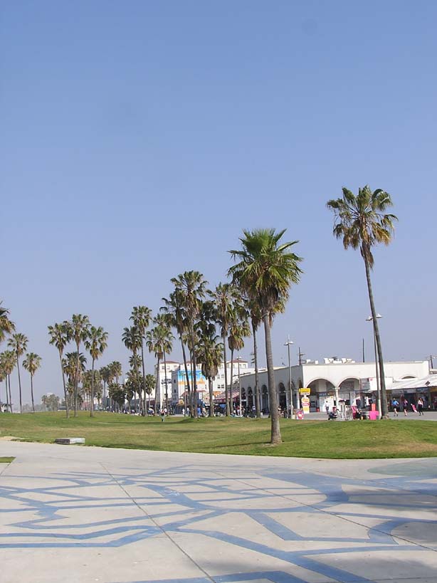 30.Venice boardwalk