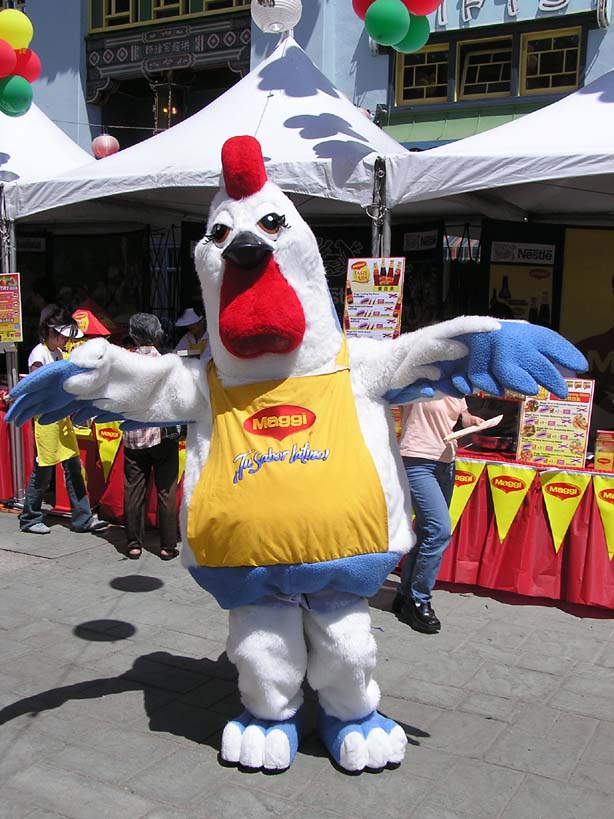 P8260079.Maggi chicken