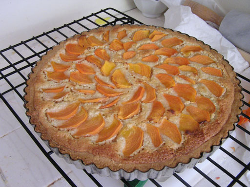 2006 Oct - Persimmontart