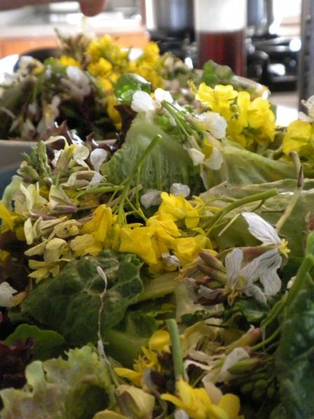 Salad with edible flowers