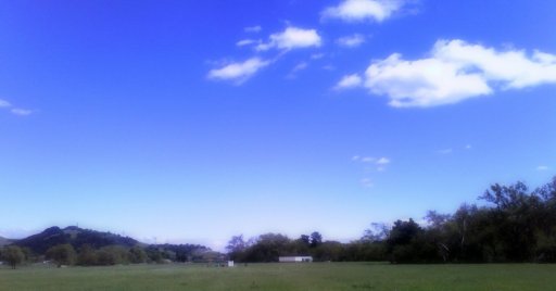Wide sky, wide grass-scape Wide sky, wide grass-scape
