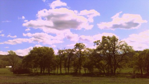 Cloud tree composition Cloud tree composition