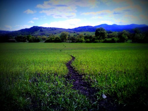 Narrow path Narrow path