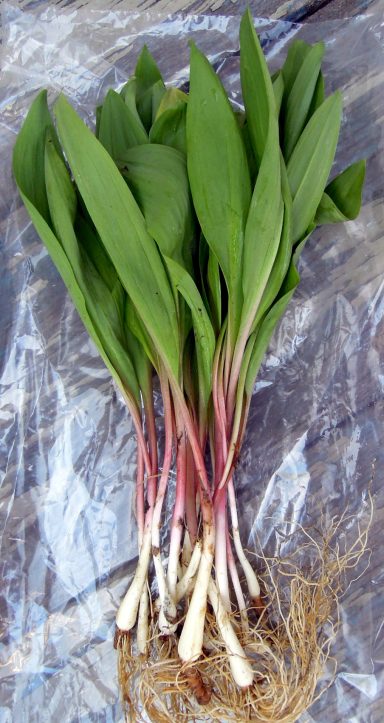 Ramps