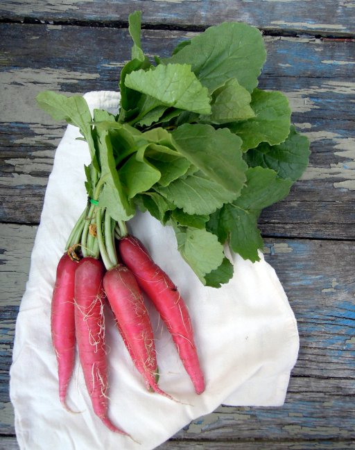 Radishes