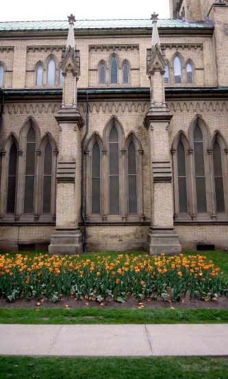 West side of the church, and an amazing planting of tulips