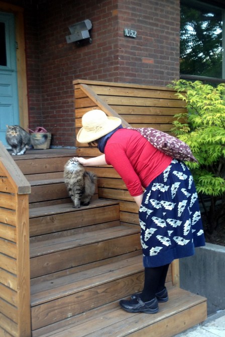 Lisa petting beautiful Maine Coon cat