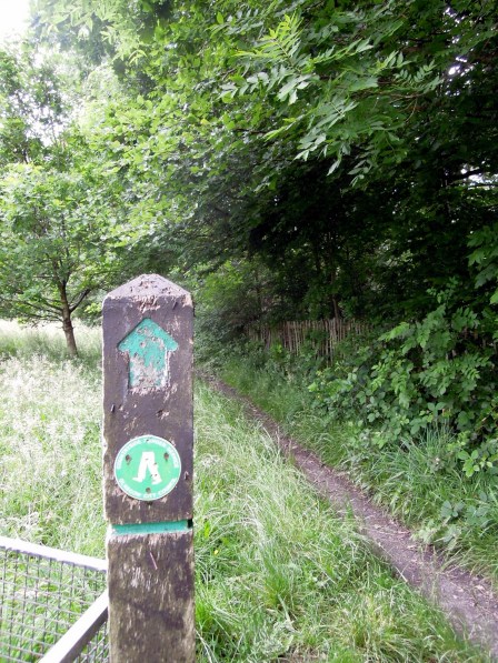 Post indicating trail ahead