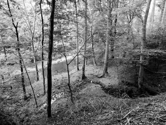 The White Cart Water glimpsed through the trees (b/w)