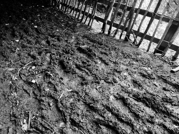 Slippy mud (b/w)