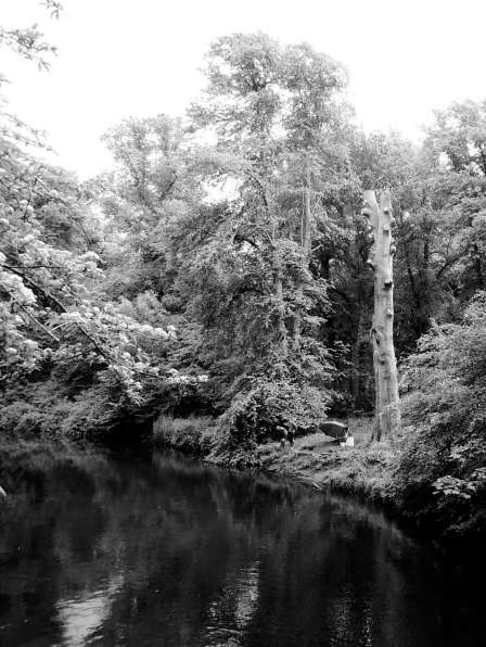 Father and son fishing along the river (b/w)