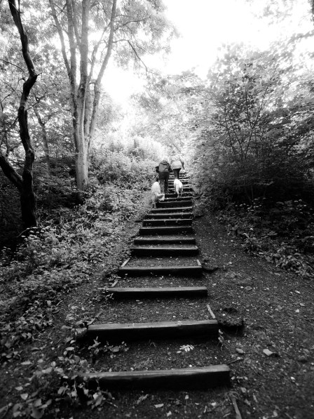 Two women walking their dogs up some steps (b/w)