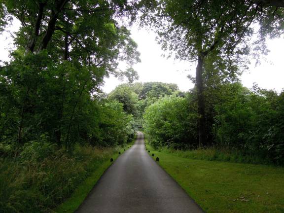 The long path to the entrance of Jupiter Artland, flanked with trees and bushes
