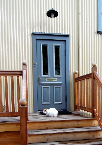 Mostly white cat sitting on a doorstep