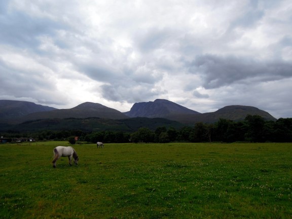 We can hear them cantering (trotting? I don't know horse-movement terms!) around the pasture sometimes, when we're in the yurt. Horses