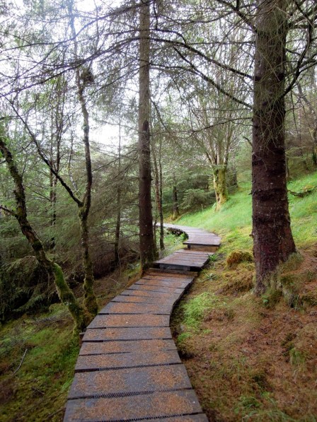 Curving planked path
