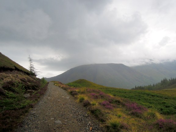 Trail going around the hillside