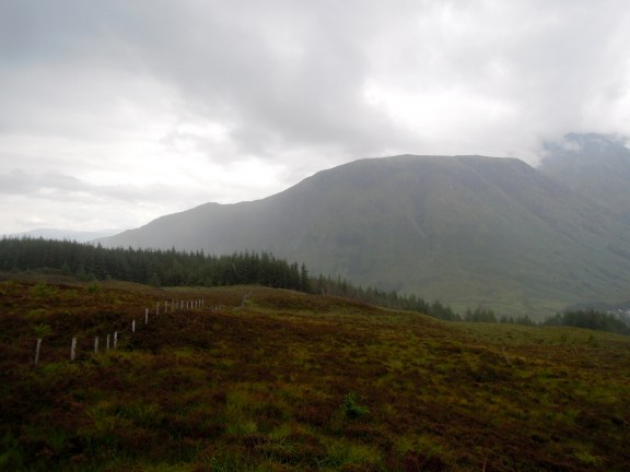 View from near the top