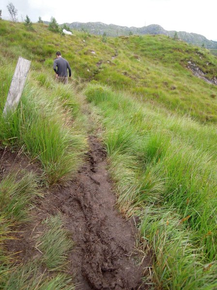 Muddy muddy path