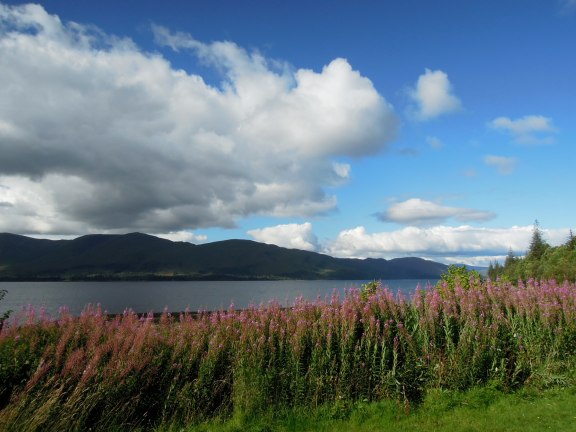 Loch Linnhe framed with mountains behind and pink flowers in front