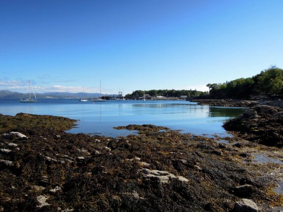 Looking at the harbor... where we needed to get back to! We were worried we might miss our ferry if we weren't early. As it turned out, the ferry was late and we stood around for 10-20 minutes. Ah well. I had ice cream. Boats in the harbor