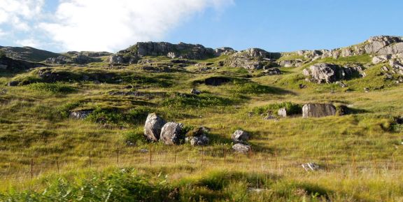 It's such a tactile-looking landscape. I want to climb and roll and sit and lie all over it. Wide view of the green hills and stones
