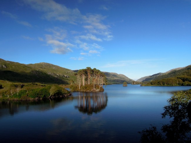 Incredible postcard-ish view of a little tree-covered island in a loch