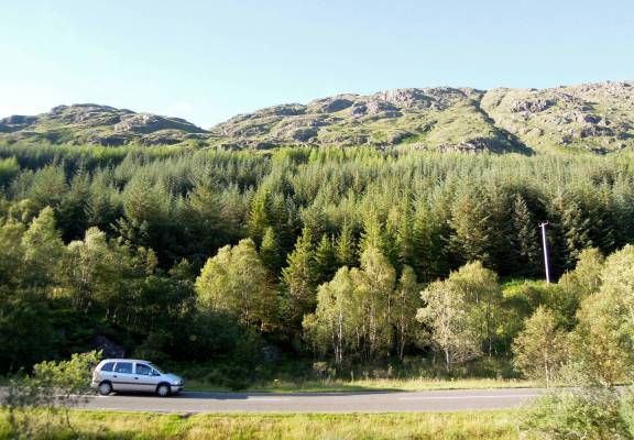 Here's one of the places where the road ran parallel to the train tracks. Car driving on a road backed with many tall evergreens on a hillside