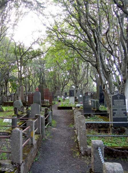 Walkway between plots