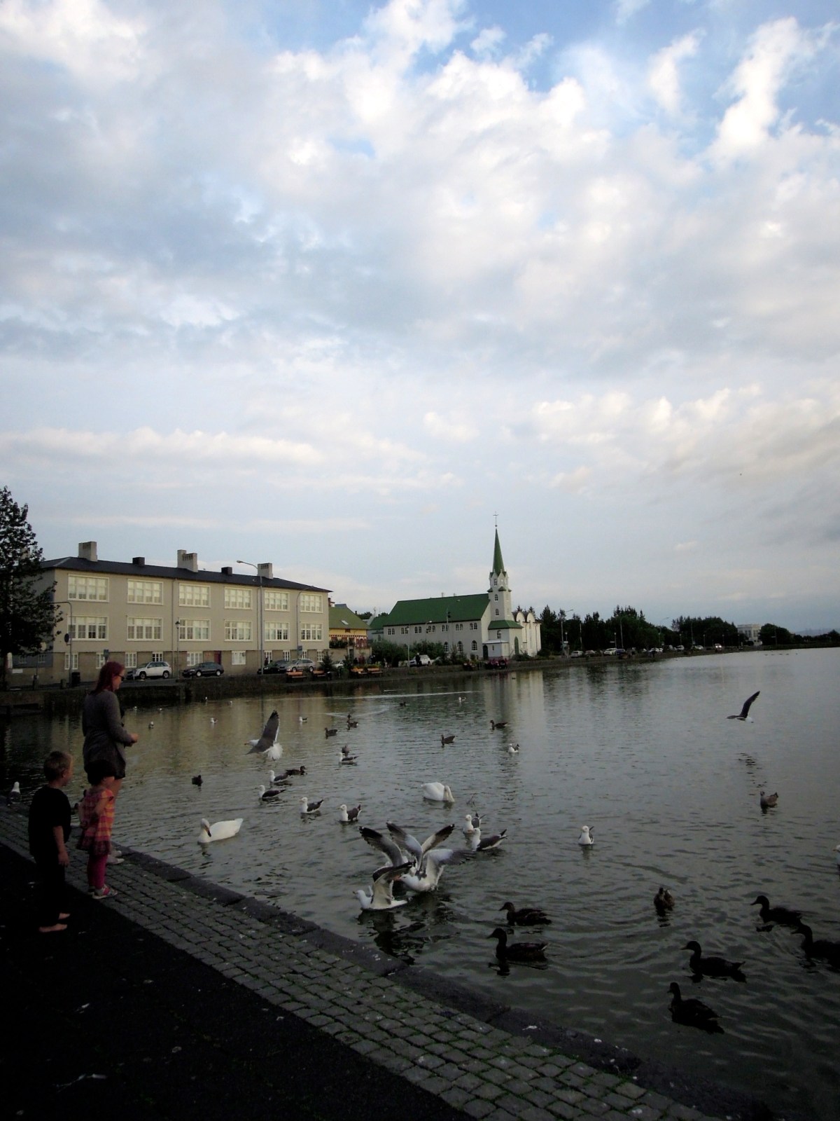 People feeding birds at Tjörnin