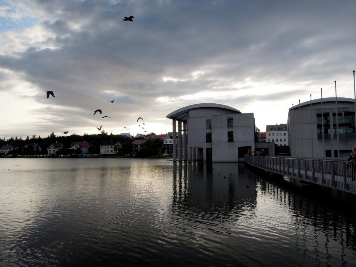 Birds flying by the city hall