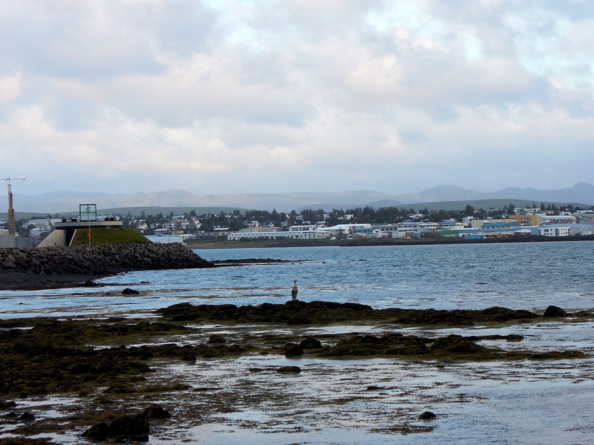 Bird sculpture on the rocks