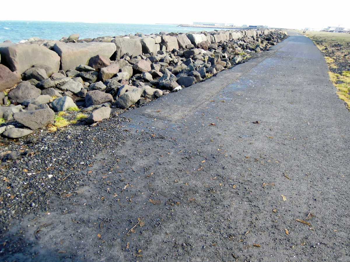 Paved trail with bits of seaweed on it
