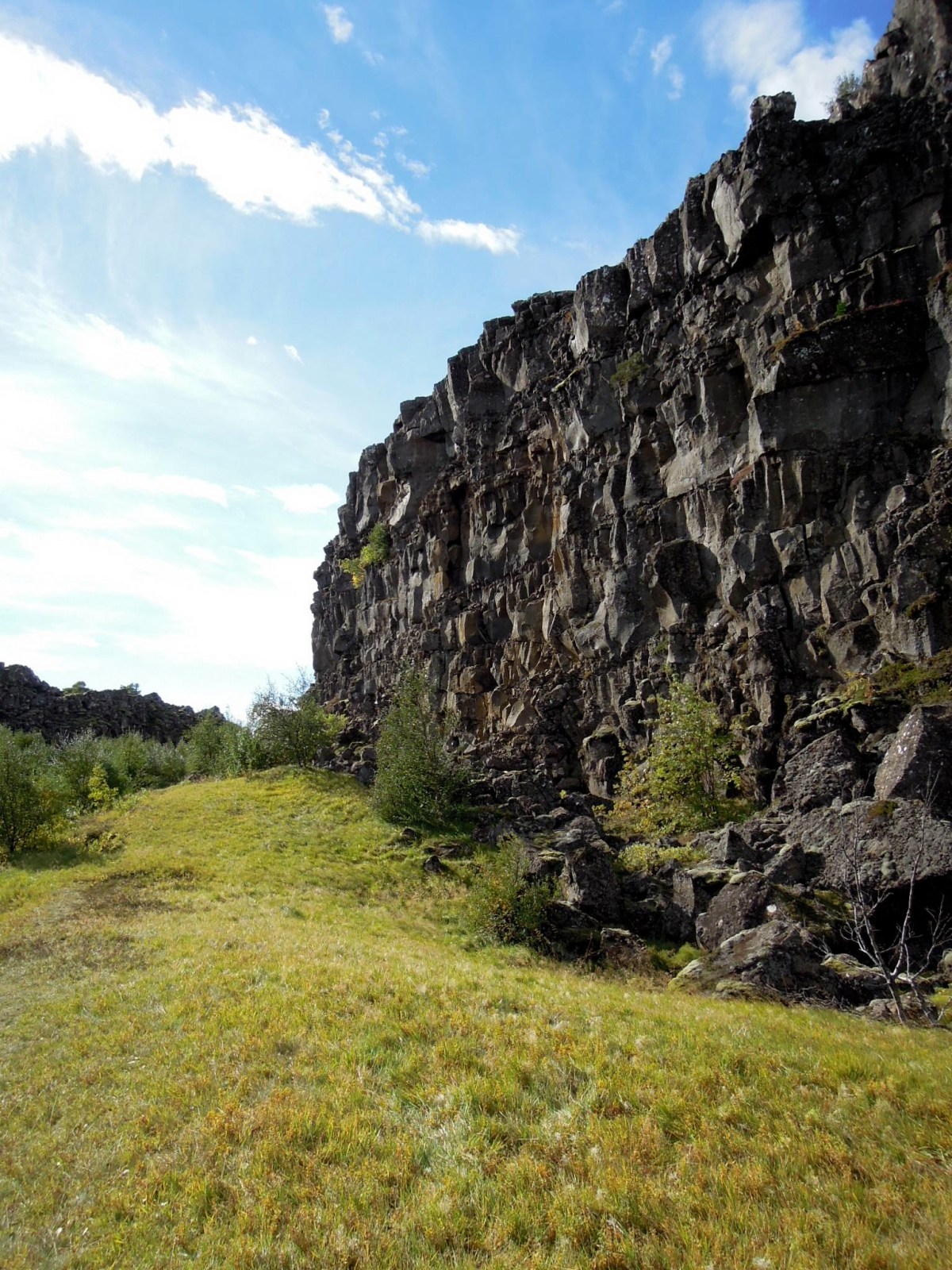 Grass next to rocky cliff