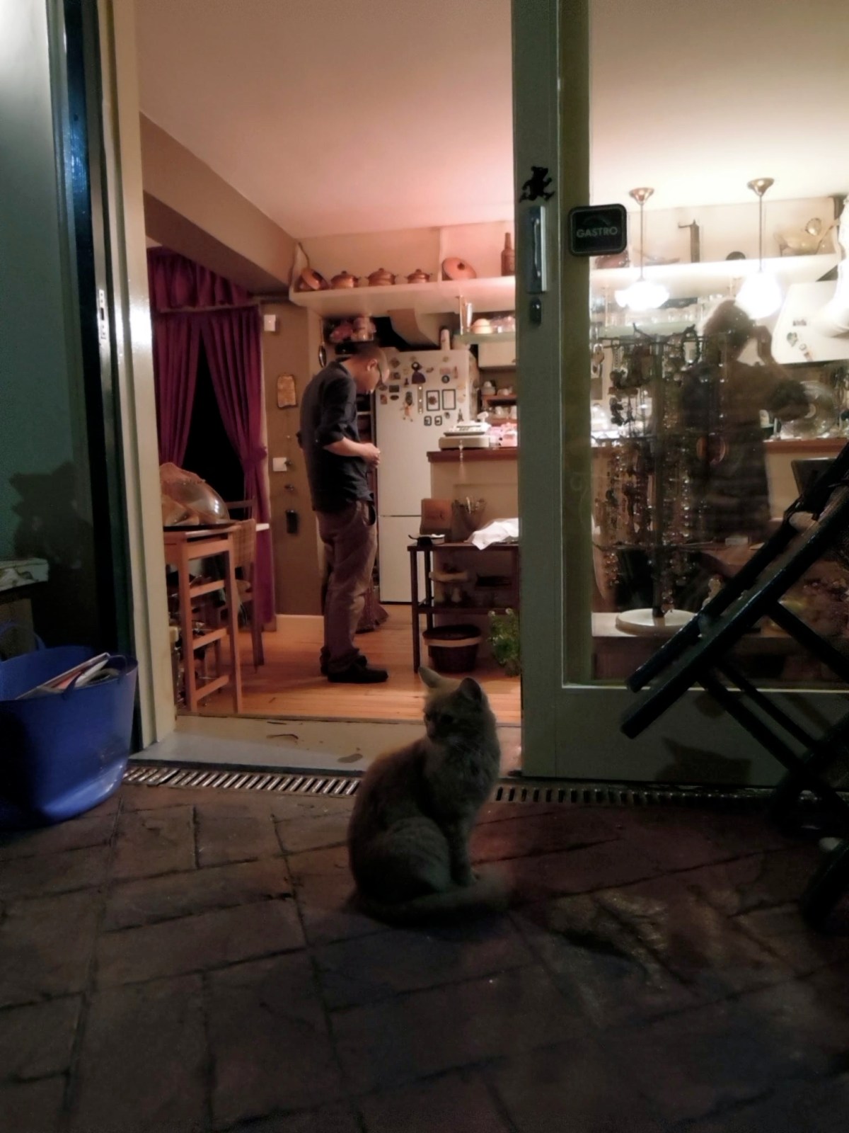 Kitty outside a café