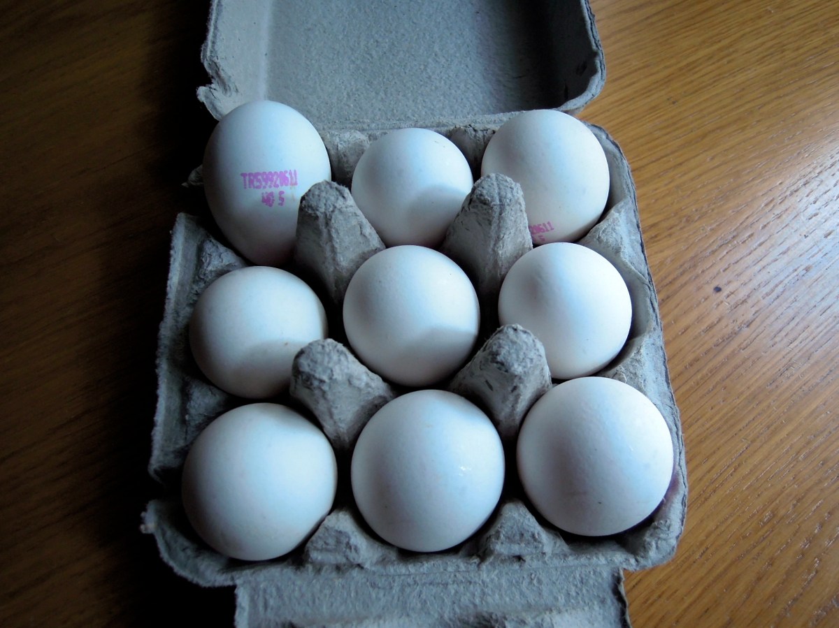 Nine-pack of eggs