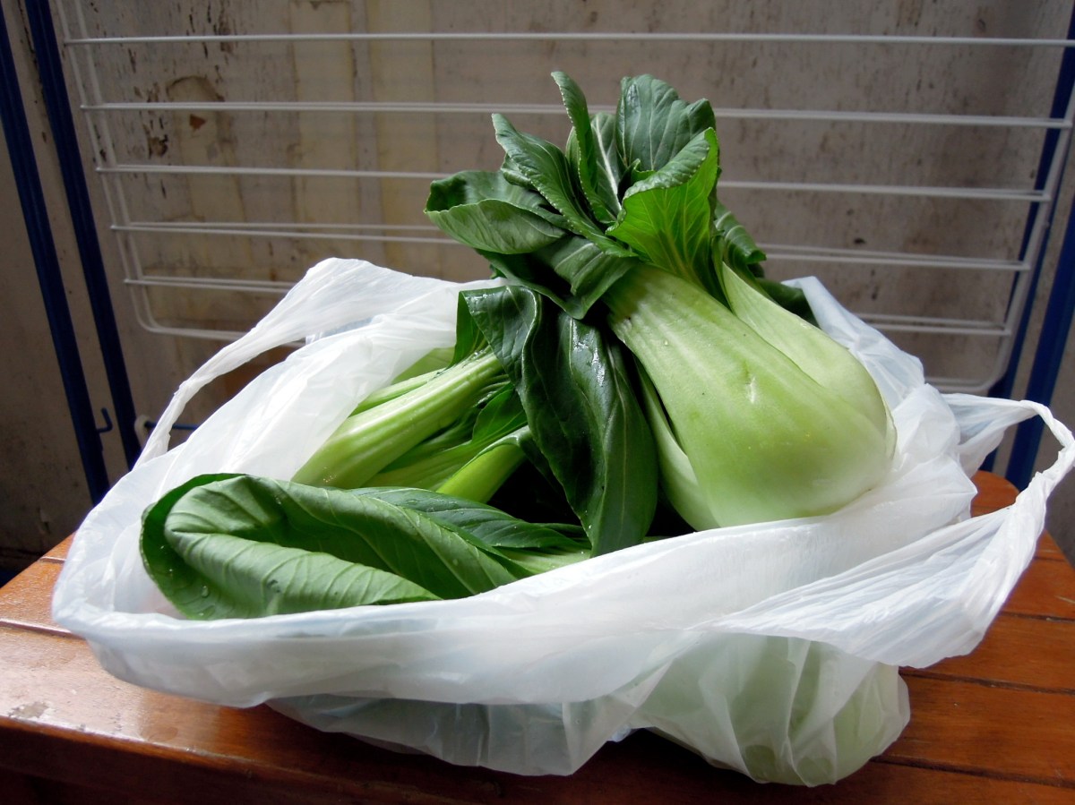 Bok choy