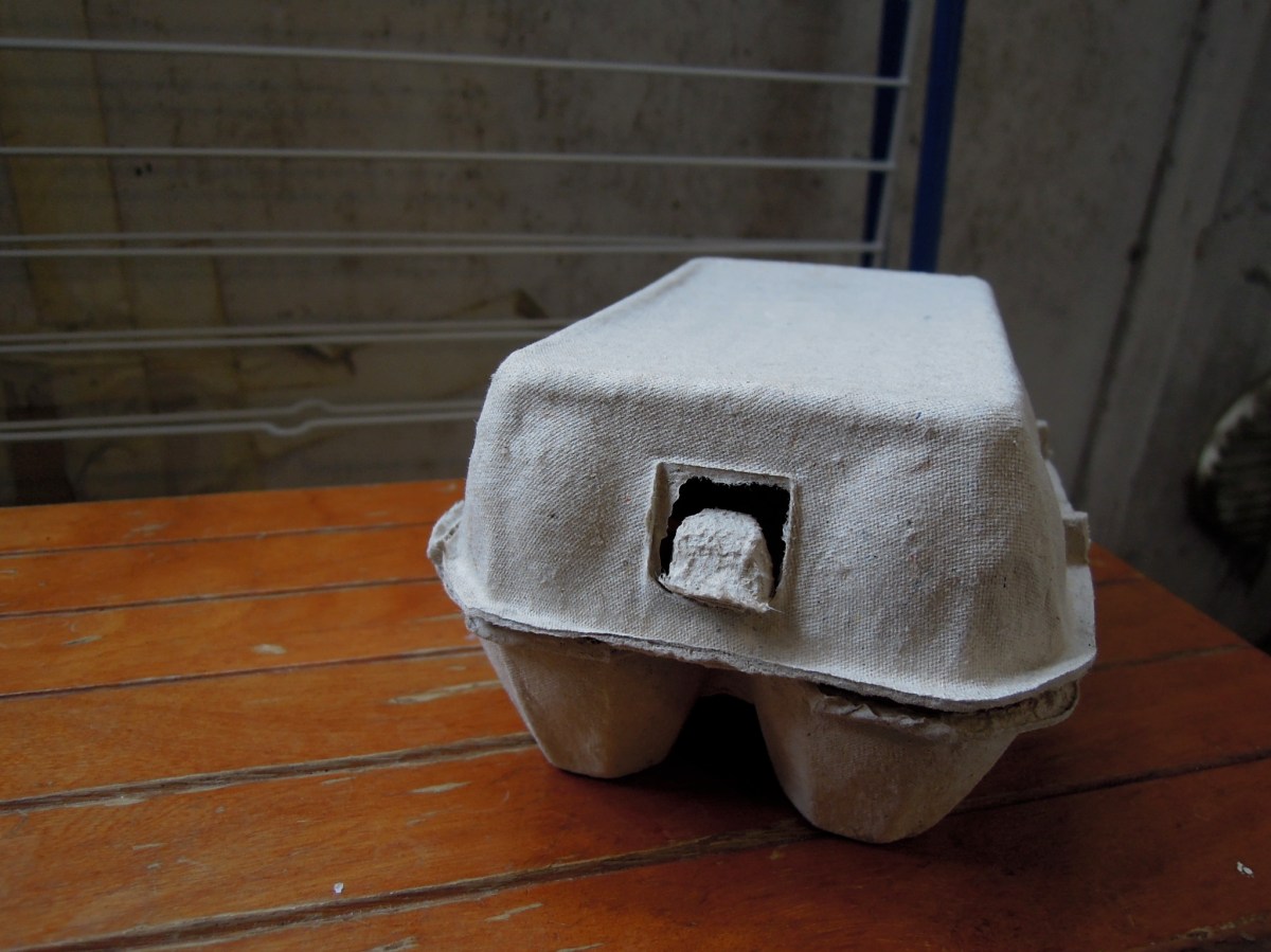 Closed half-dozen egg carton