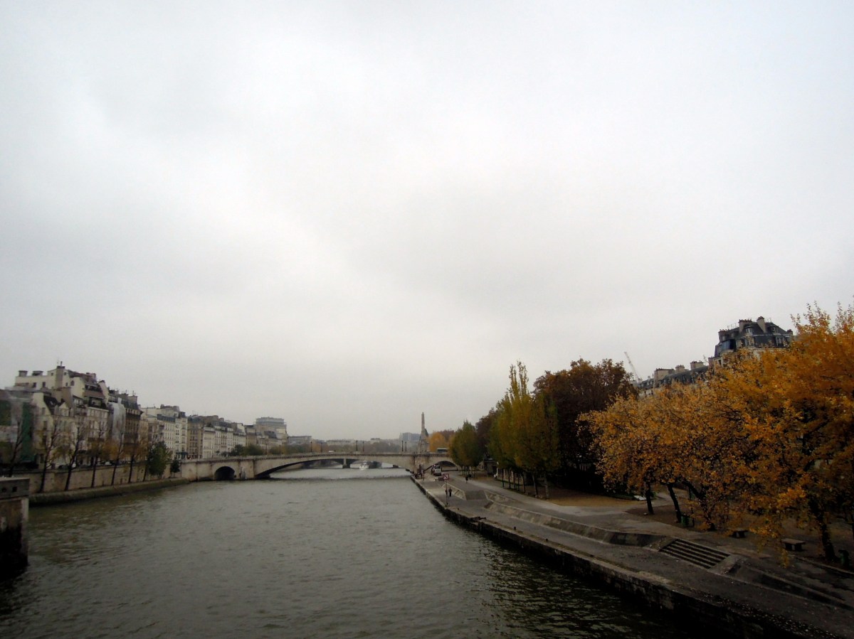 Autumn-hued trees along the Seine