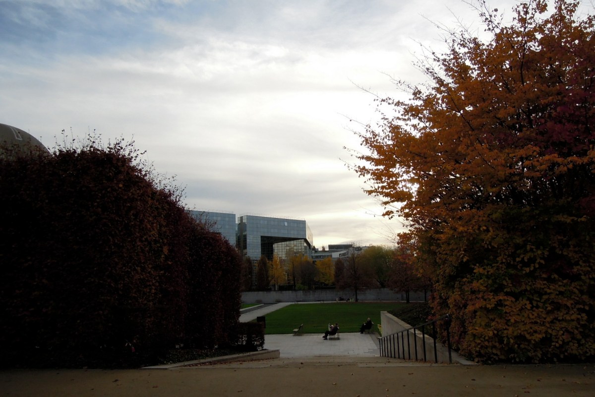 View of lawn and reflective buildings