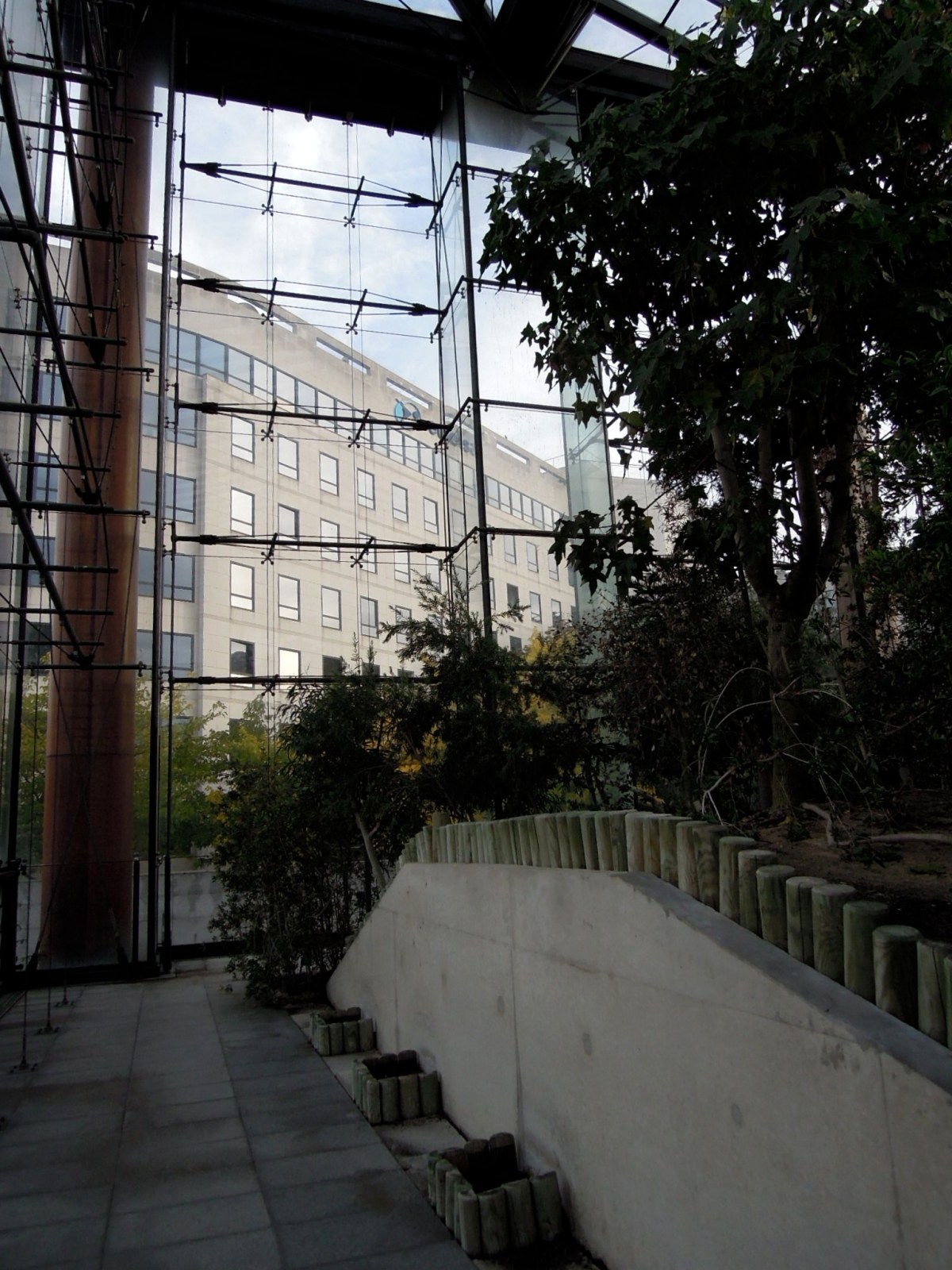 Inside the tree greenhouse