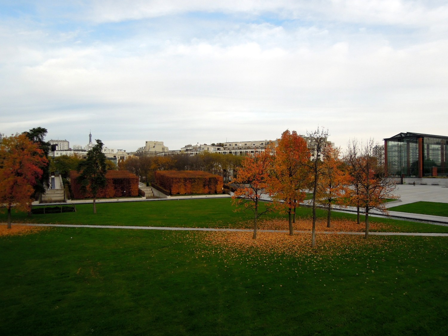 Autumn leaves on green grass