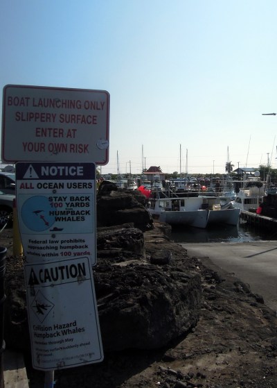Signs warning of danger of humpback whale collision