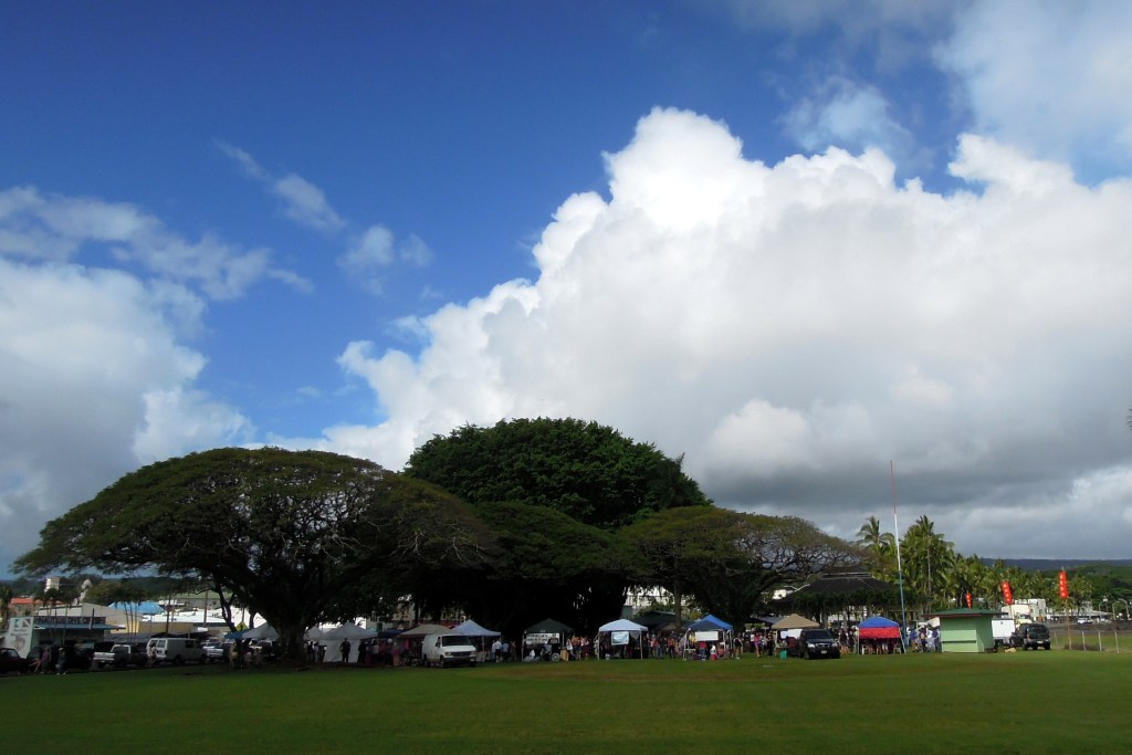 Lunar New Year Festival in Hilo