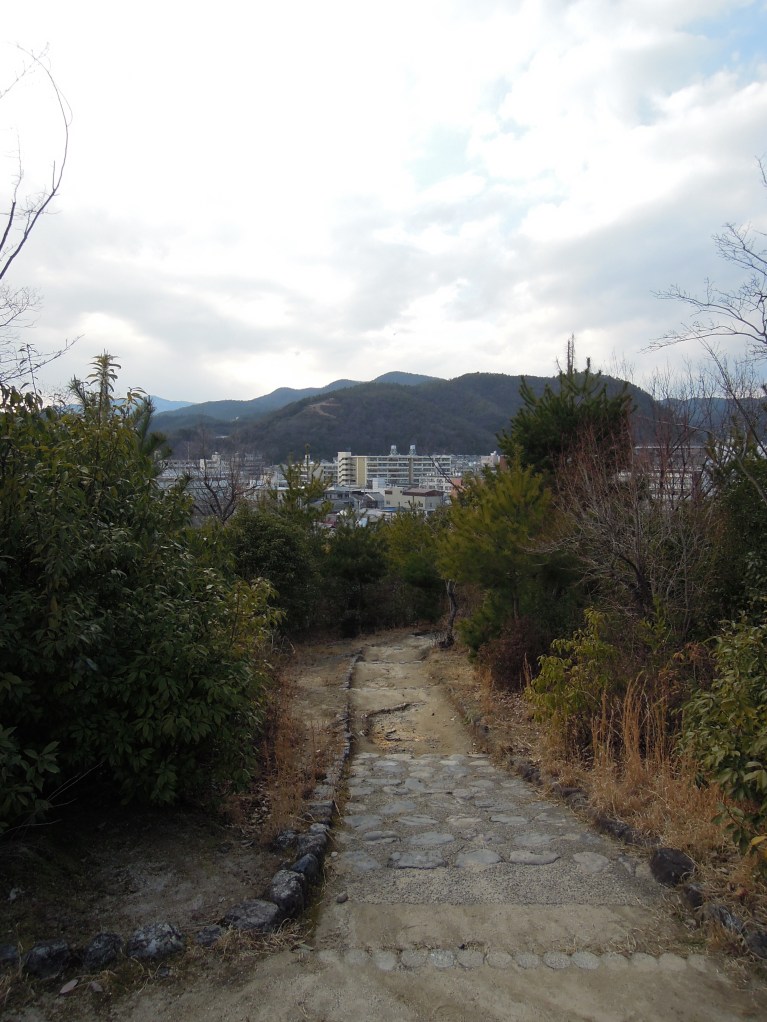Trail with mountain in distance
