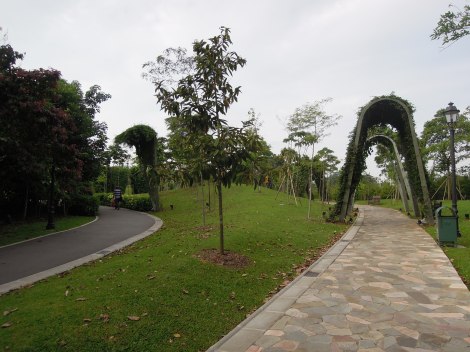 DSCN0266.Trellis garden