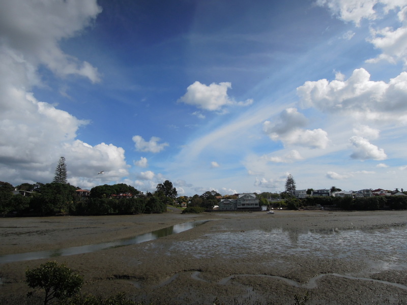 Boggy ground with houses in the distance